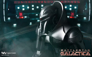 Meet your Posher, Wayne